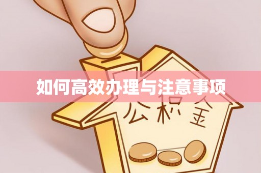 周村如何高效办理与注意事项