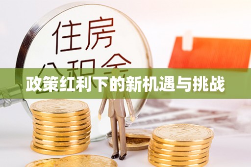 周村政策红利下的新机遇与挑战