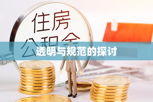 周村透明与规范的探讨