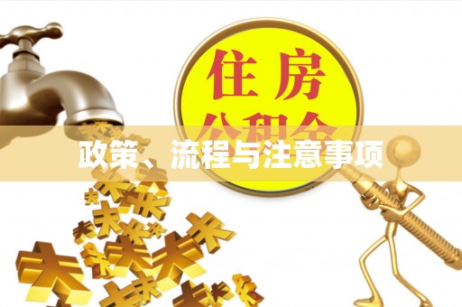 周村政策、流程与注意事项