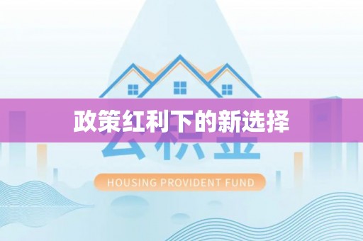 周村政策红利下的新选择