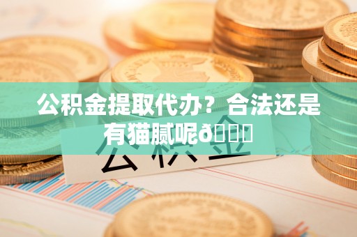 周村公积金提取代办？合法还是有猫腻呢😏