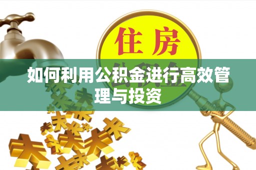 周村如何利用公积金进行高效管理与投资