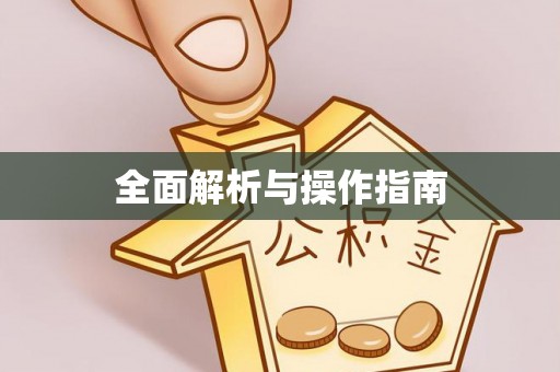 周村全面解析与操作指南