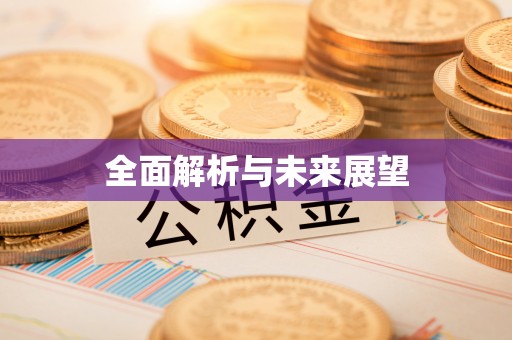 周村全面解析与未来展望