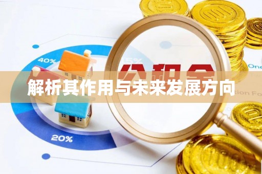 周村解析其作用与未来发展方向