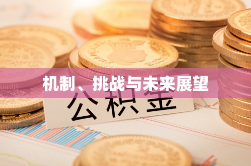 周村机制、挑战与未来展望
