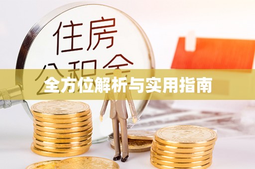 周村全方位解析与实用指南