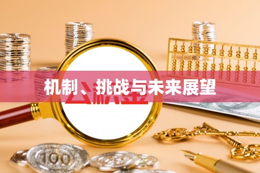 周村机制、挑战与未来展望