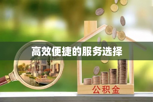 周村高效便捷的服务选择