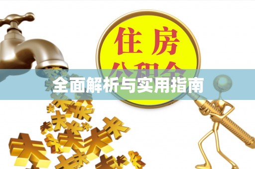 周村全面解析与实用指南