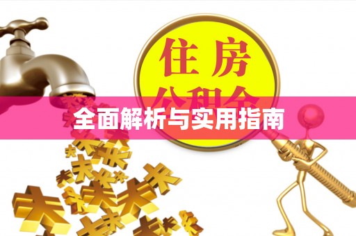 周村全面解析与实用指南